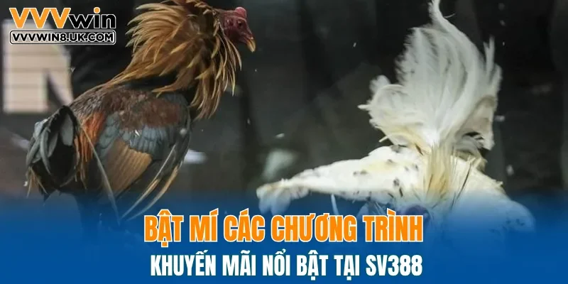 Các CTKM khuyến mãi hấp dẫn tại nền tảng