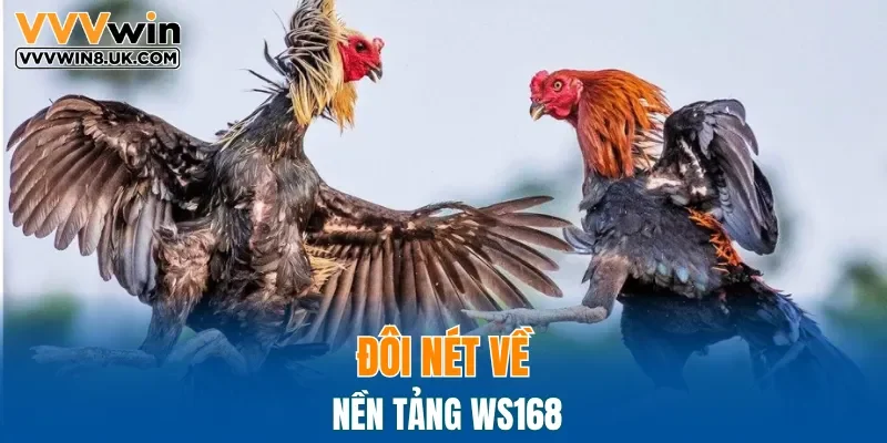 Đôi nét về nền tảng WS168