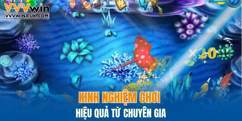 Kinh nghiệm chơi hiệu quả từ chuyên gia