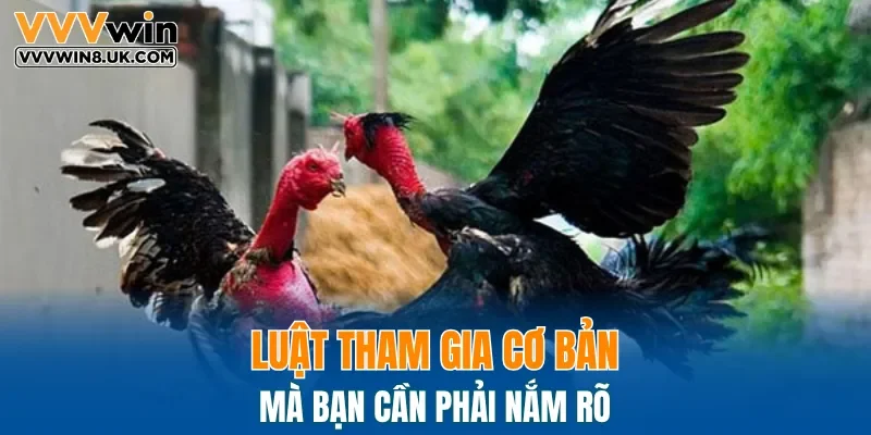 Luật tham gia cơ bản mà bạn cần phải nắm rõ